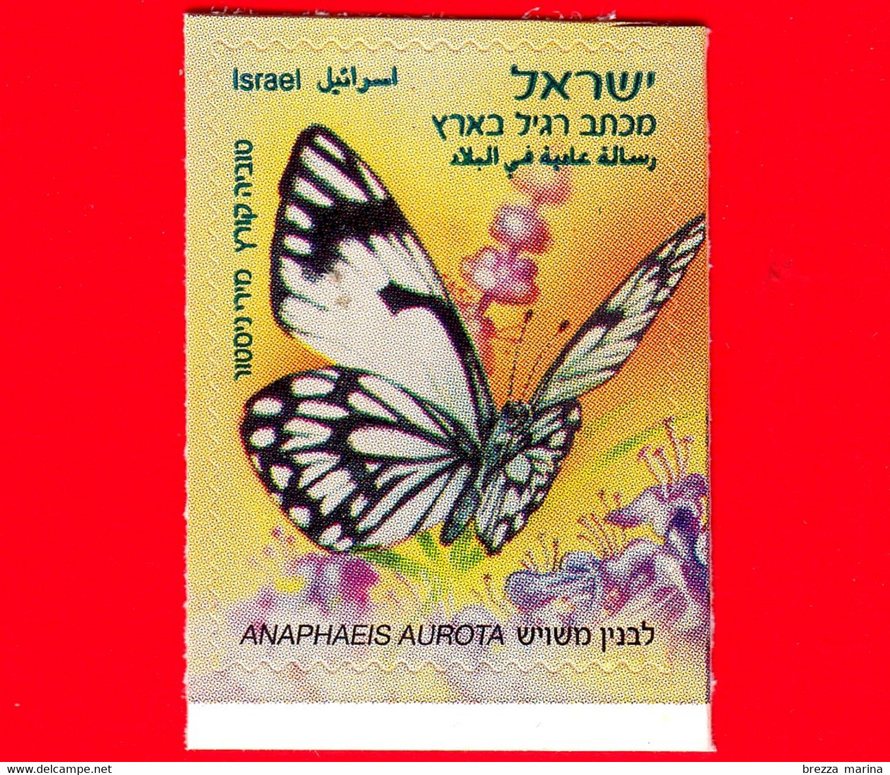 Nuovo - MNH - ISRAELE - 2011 - Farfalla - Butterfly - African Caper White (Anaphaeis Aurota) - 1.70 - Ongebruikt (zonder Tabs)