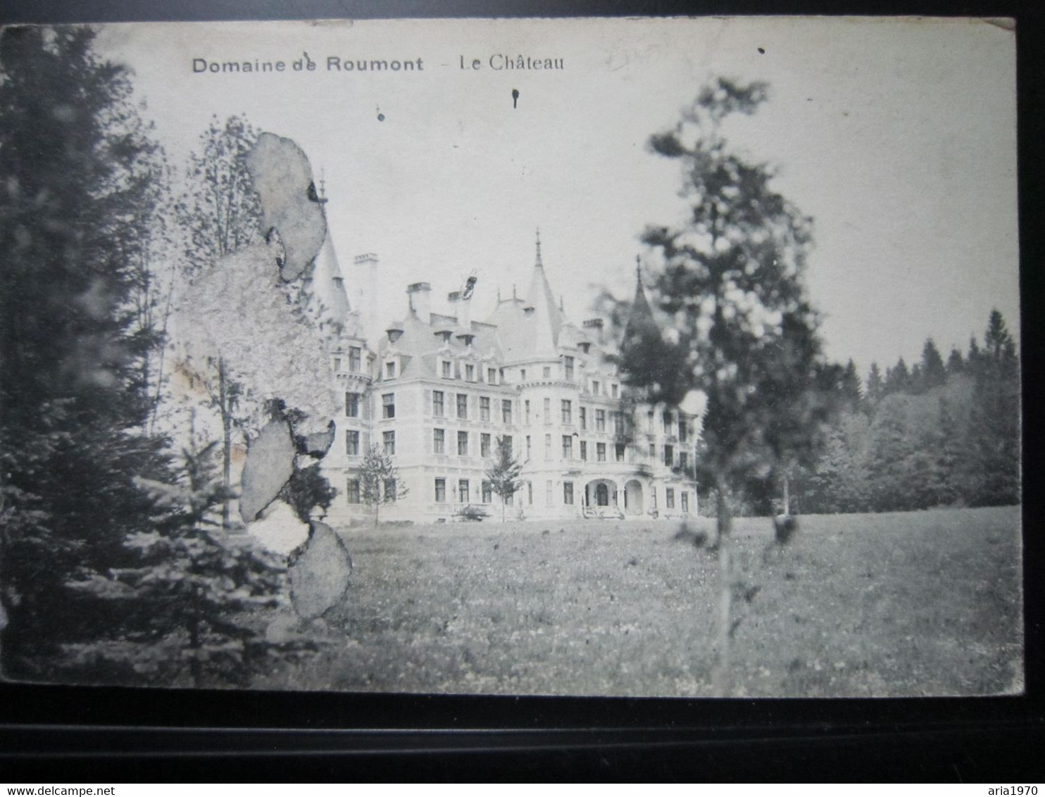 Domaine De Roumont   Le Château - Libin