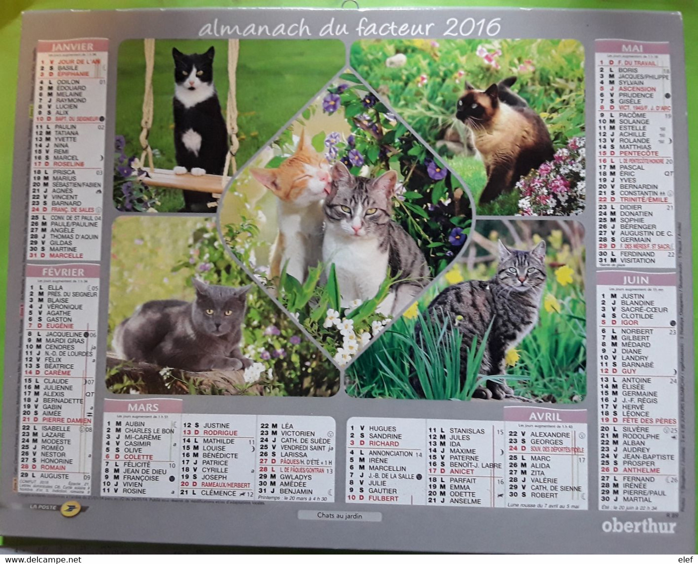 Calendrier Almanach Des Postes Facteur 2016 Gironde Plan Cartes  , Illustré Chat Cat Katze , Ed Oberthur TB - Grand Format : 1961-70