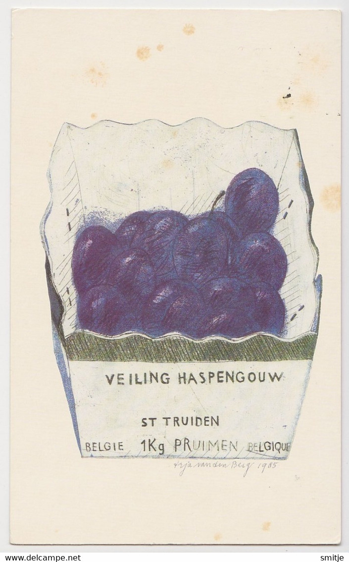 SINT-TRUIDEN VEILING HASPENGOUW PRUIMEN TEKENING VAN DEN BERG 1985 - Sint-Truiden