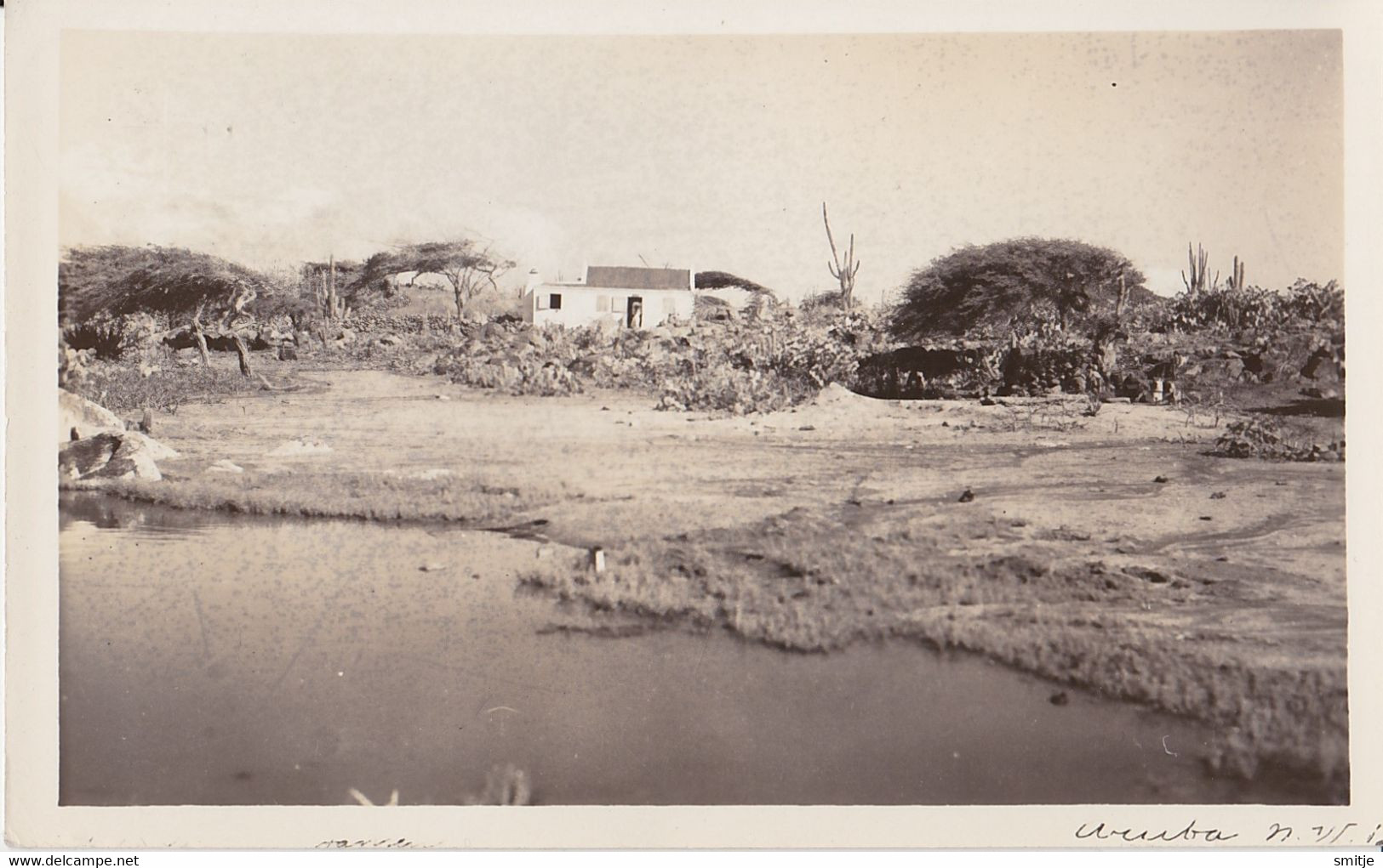 ARUBA REAL PHOTO POSTCARD RPPC FARM AND LANDSCAPE - Aruba