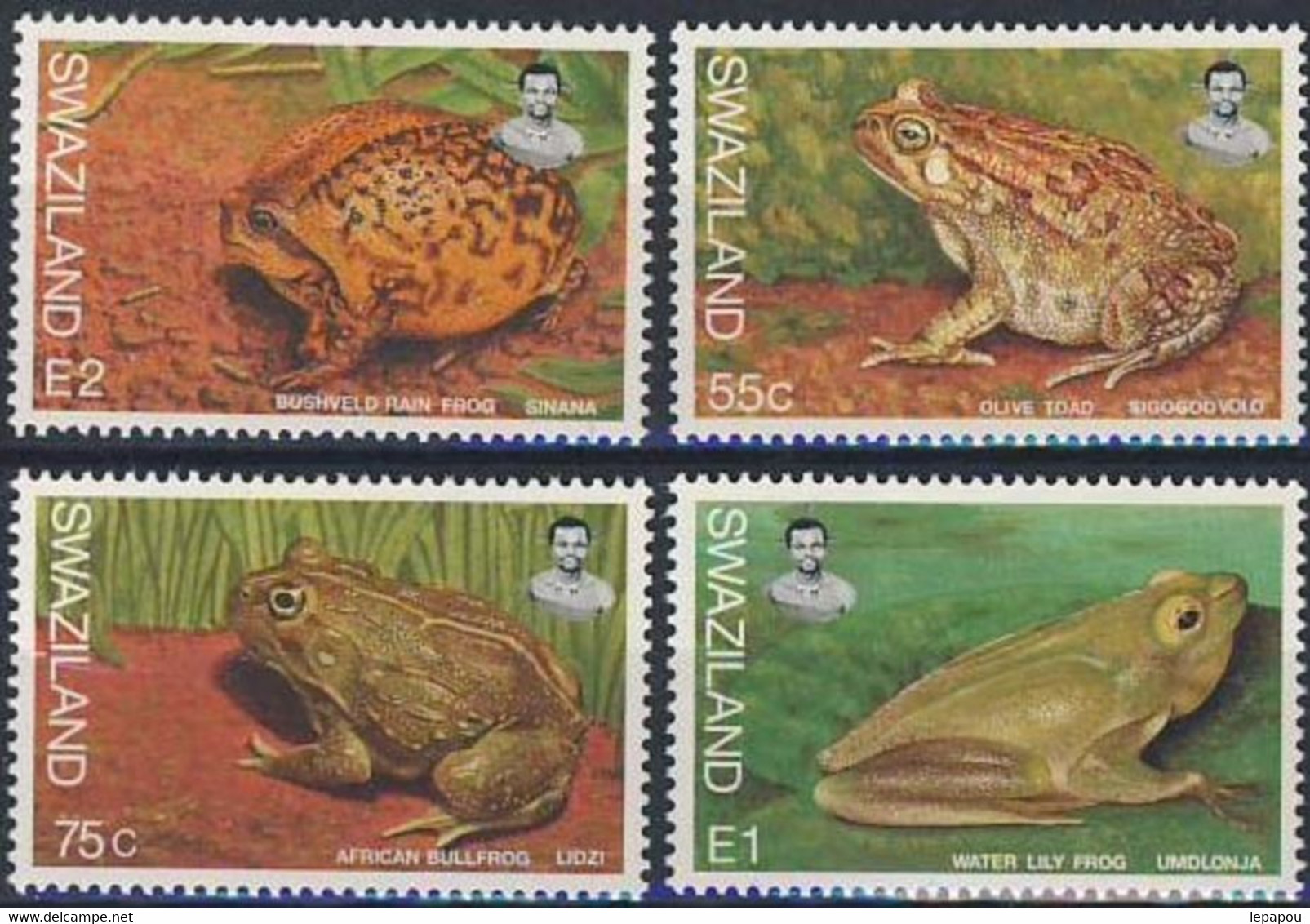 Swaziland 1998 - Série Complète  "Batraciens" - Neuf ** - Frogs