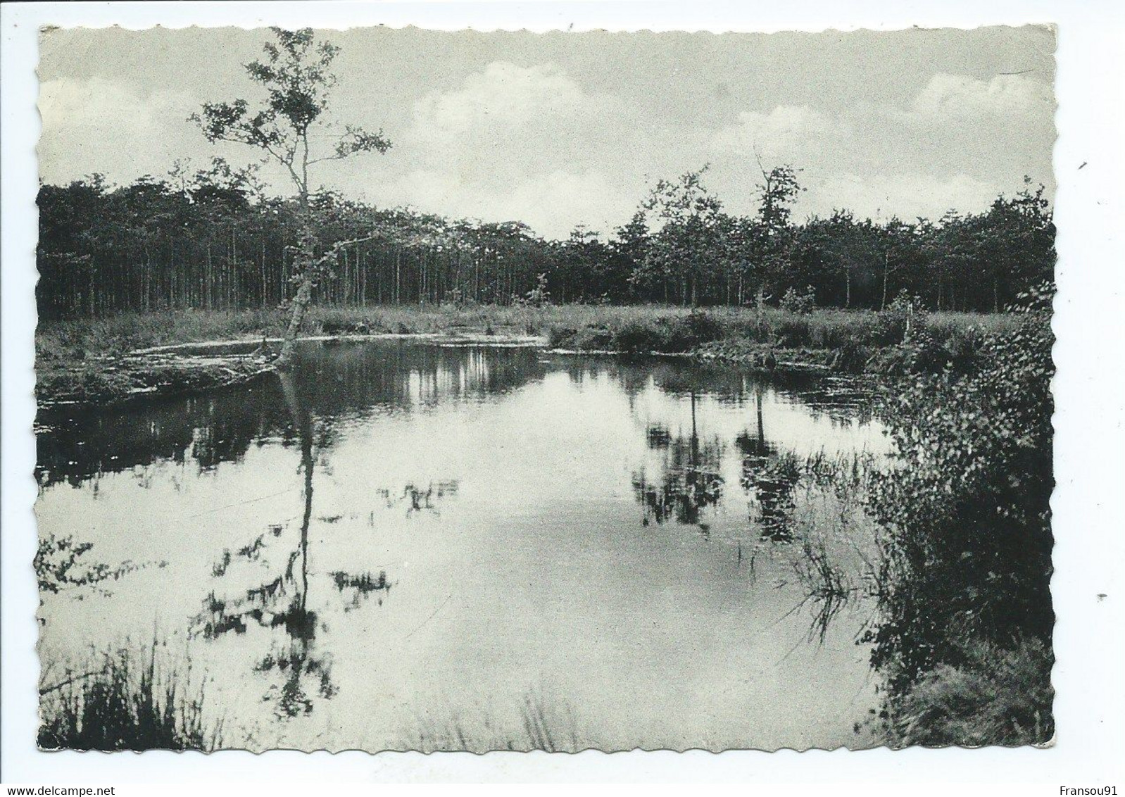 Keerbergen De Poel ( Gelopen Kaart ) - Keerbergen