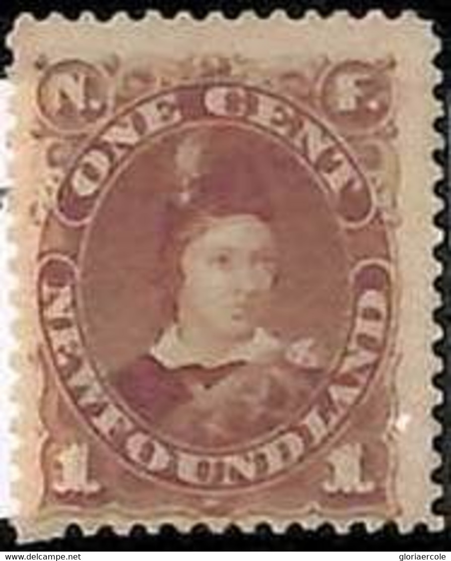 94903b - CANADA: Newfoundland - STAMP: SG #  44  -  MINT Very Lightly Hinged - Other & Unclassified