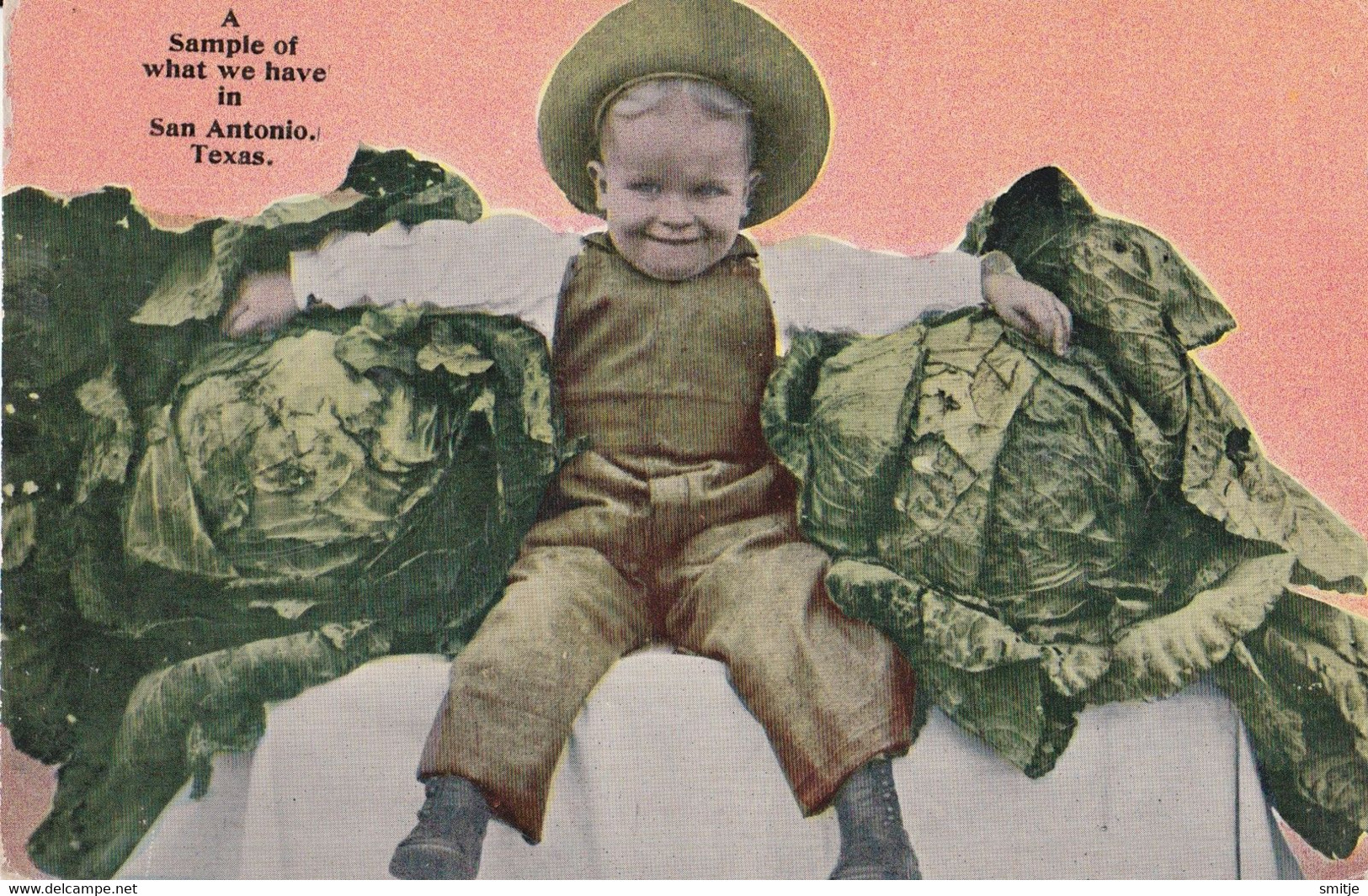 SAN ANTONIO TEXAS COMIC CHILD WITH BIGGEST CABBAGE ON EARTH ? - San Antonio