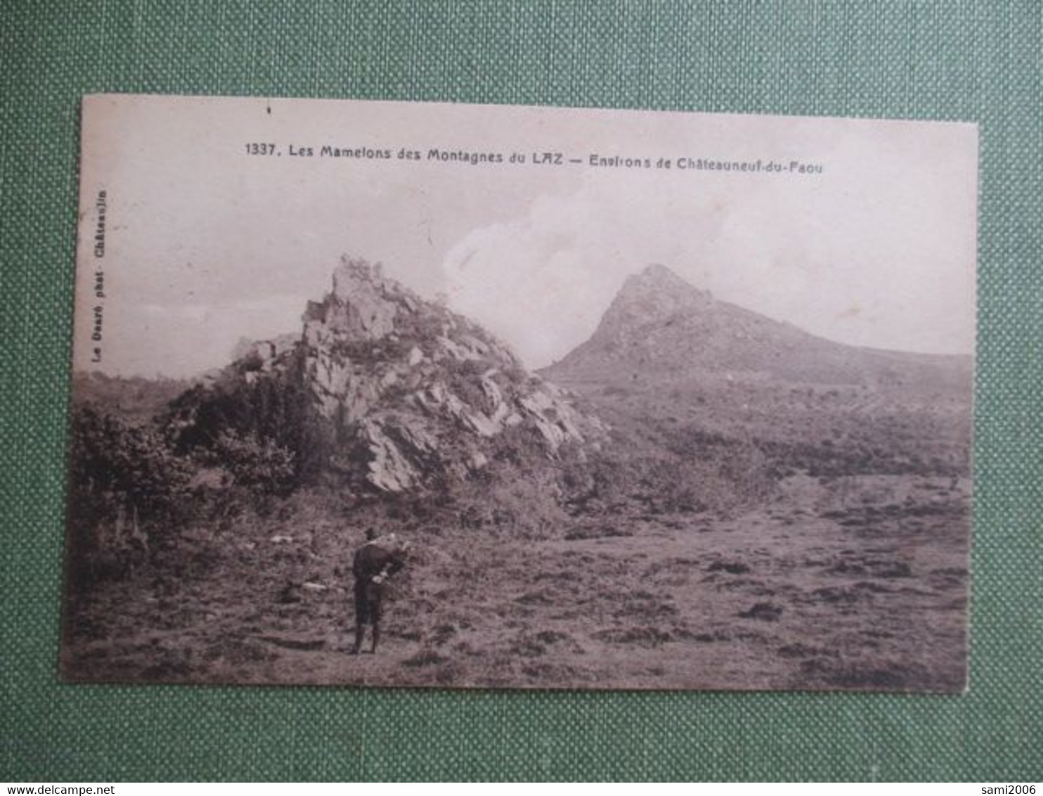 29 ENVIRONS DE CHATEAUNEUF DU FAOU MONTAGNES DU LAZ - Châteauneuf-du-Faou