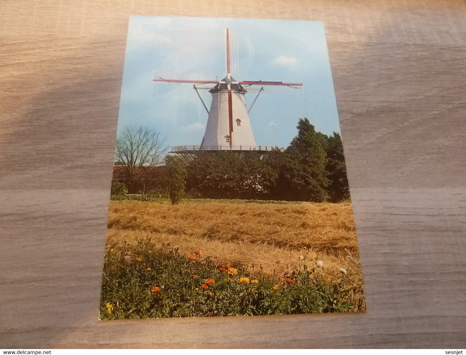 Oud Vossemeer - Holland - Editions Spanjersberg - Année 1980 - - Tholen