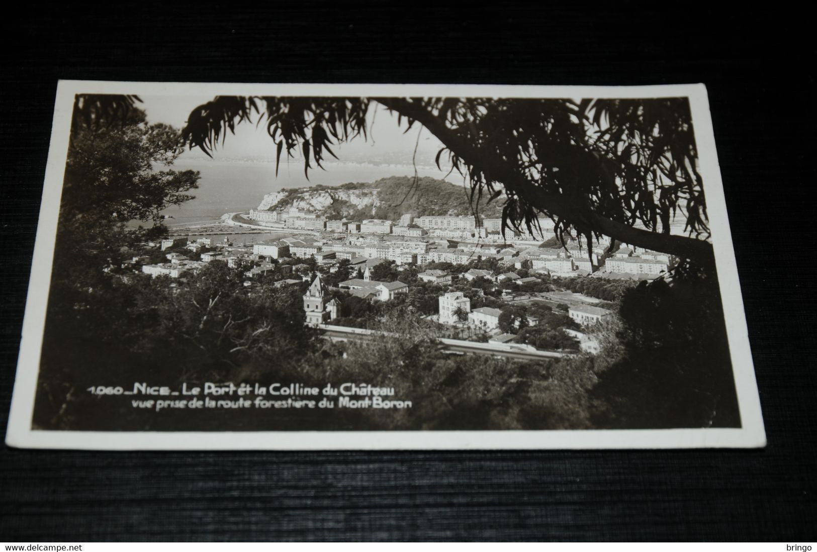 19662-                 NICE, LE PORT ET LA COLLINE DU CHATEAU - Cartas Panorámicas