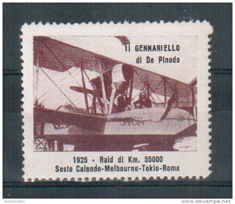 ERINNOFILO 1925 II° GENNARIELLO DI DE PINEDO - Erinnophilie