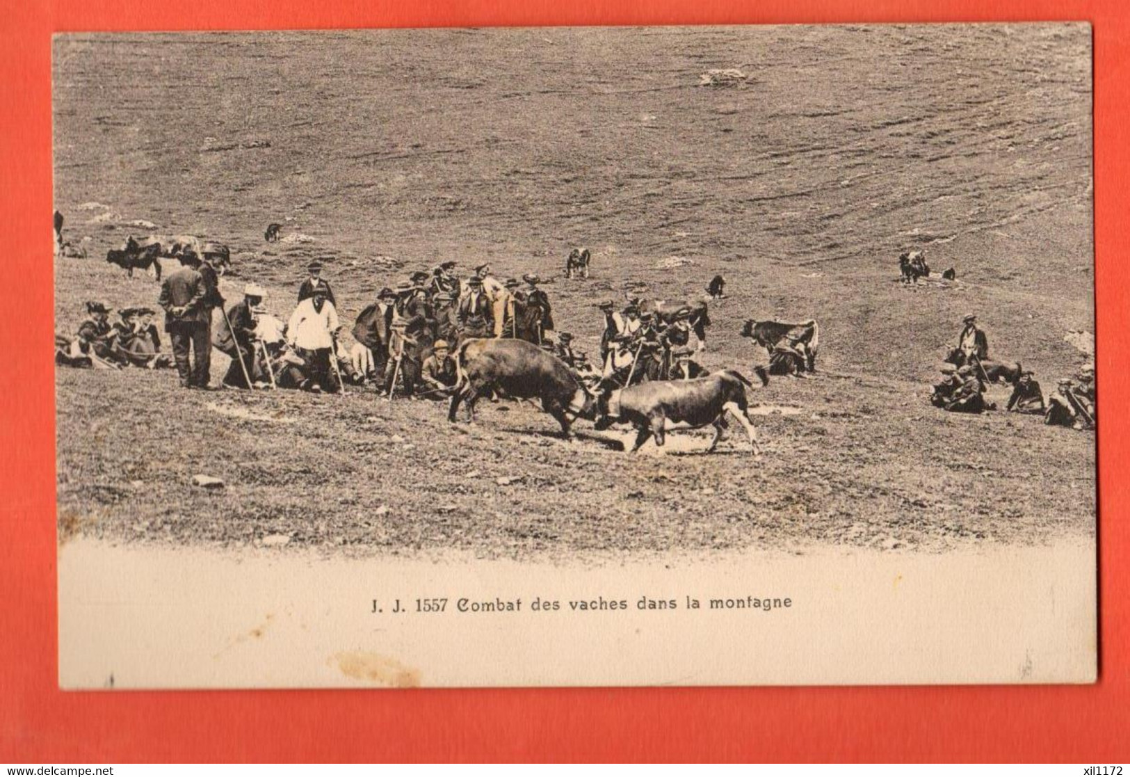 ZBQ-09 Combat De Vaches Reines D'Hérens Sur La Montagne, Alpage. Cachet Militaire à Salvan Infanterie De Forteresse 1914 - Salvan
