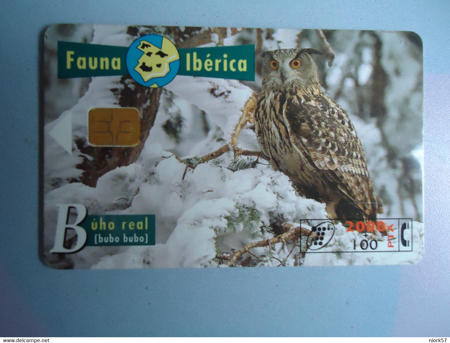 SPAIN   USED CARDS  BIRDS OWLS - Búhos, Lechuza