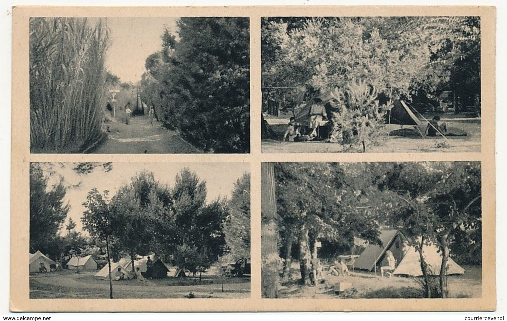 CPSM - LE BRUSC SUR MER (Var) - Camp Des Charmettes - Camping Club De France - Movimiento Scout