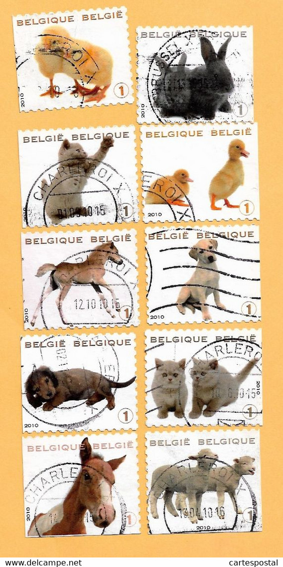 41A - BELGIQUE - 2010 --  Lot  De  10  Timbres N° 4004/13  Oblitérés  Du  Carnet 112 - Ohne Zuordnung