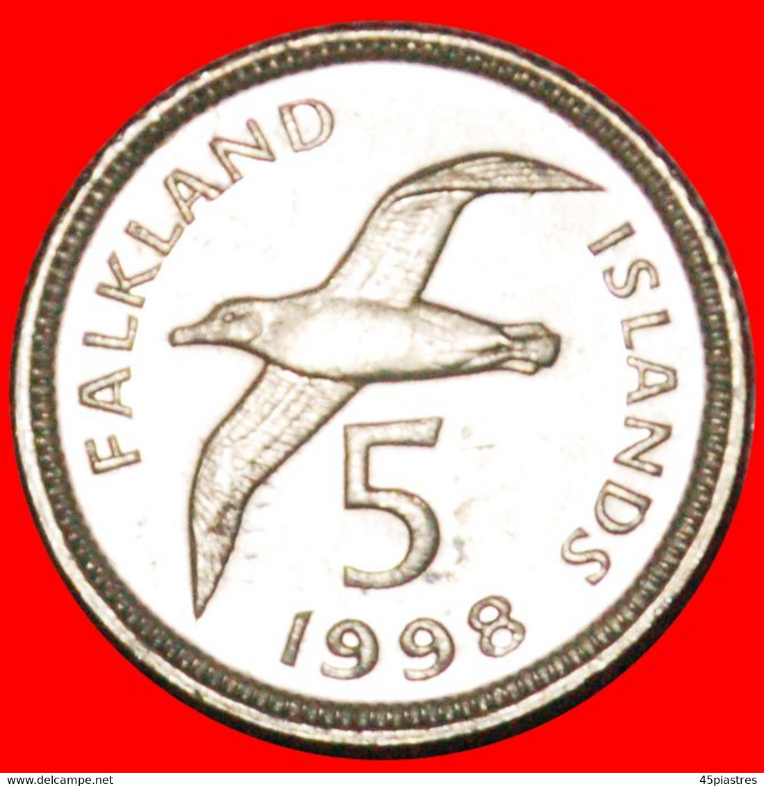 · ALBATROSS (1998-1999): FALKLAND ISLANDS ★ 5 PENCE 1998! LOW START★ NO RESERVE! - Falklandinseln