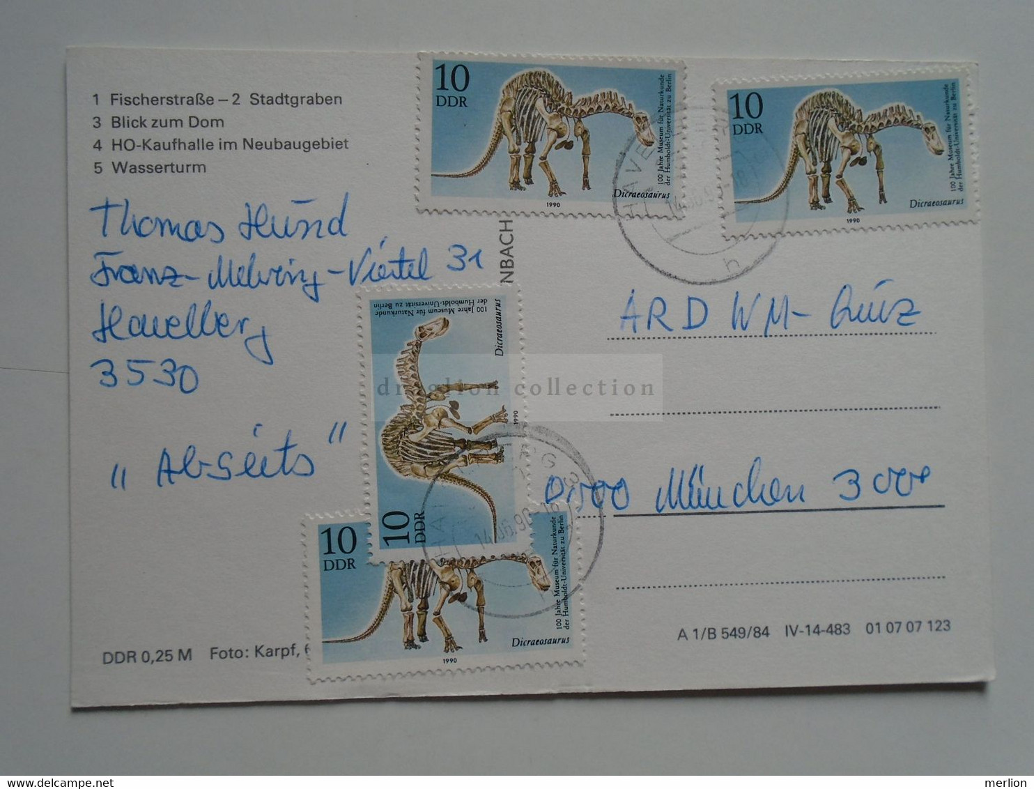 D175462 HAVELBERG    Stamps Skeleton Dicraeosaurus  -Dino - Havelberg