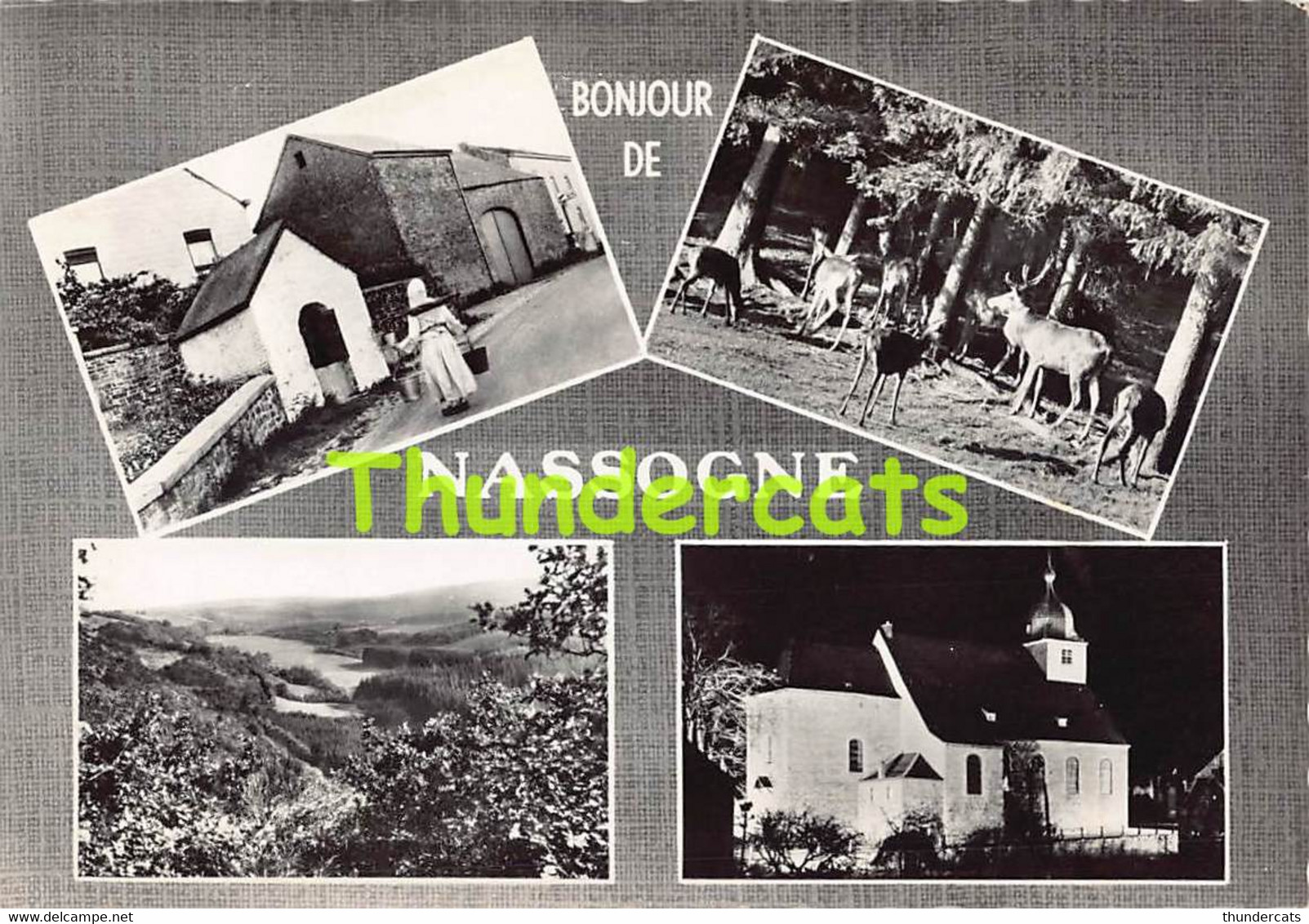 CPSM BONJOUR DE NASSOGNE - Nassogne