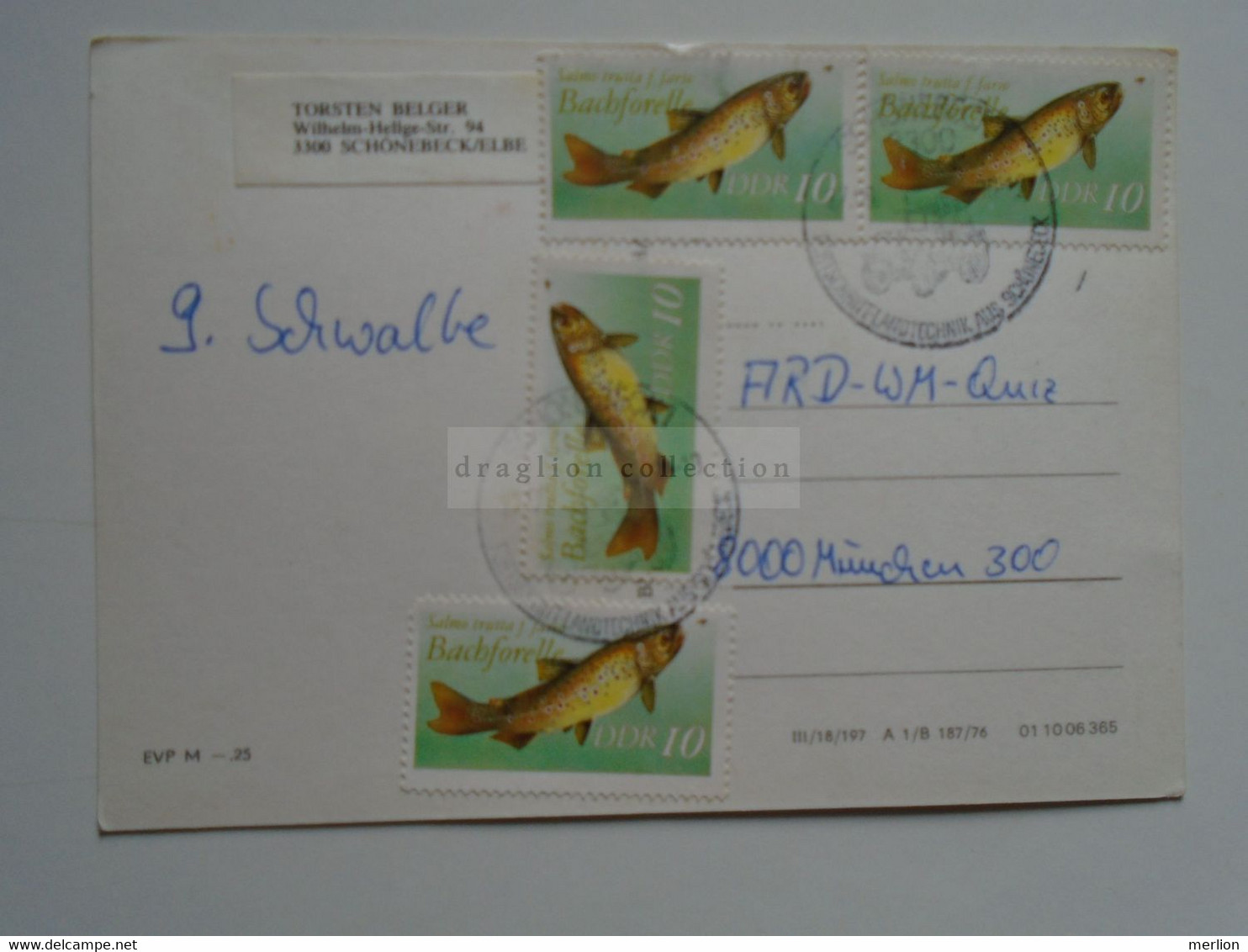 D175511     AK   Ferchesar Kr. Rathenow, Am Hohennauener See Gasthaus Perle Des Havellandes Stamp Fish - Altdoebern