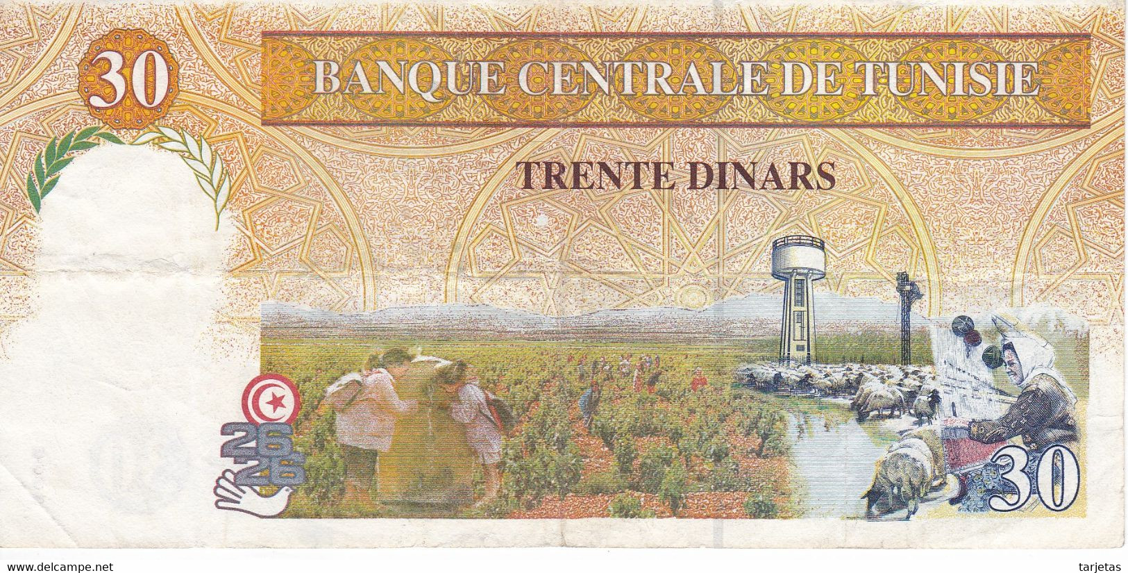 BILLETE DE TUNEZ DE 30 DINARS DEL AÑO 1997  (BANK NOTE) - Tusesië