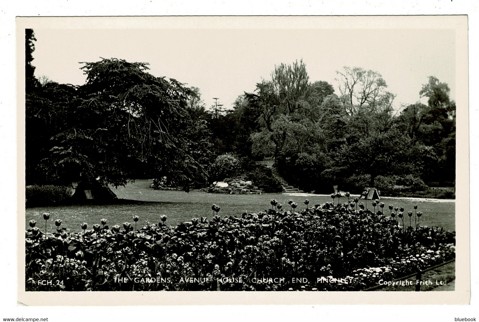 Ref 1420 - Real Photo Postcard - Avenue House Gardens - Church End Finchley - London - Middlesex