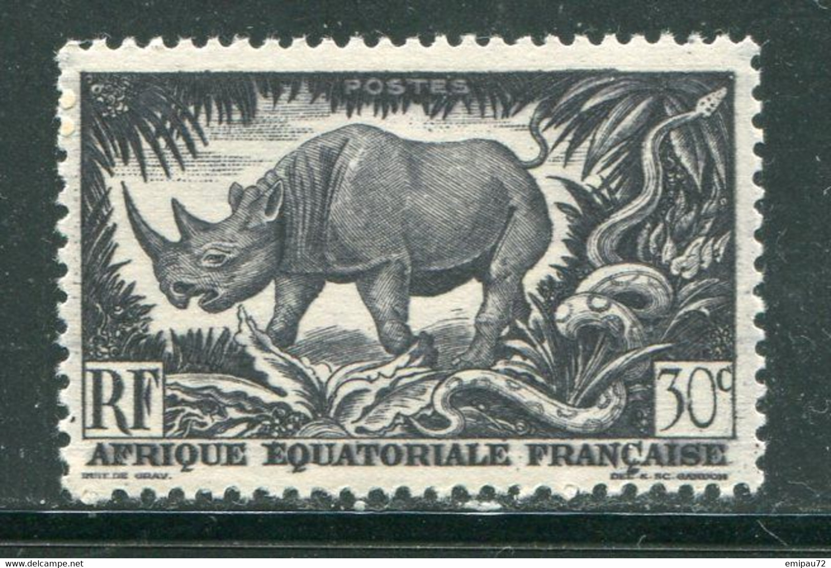 A.E.F- Y&T N°209- Neuf Sans Charnière ** - Rhinoceros