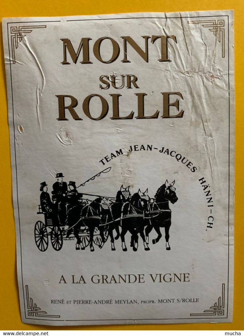 16710 -  Suisse Team Jean-Jacques Hänni Attelage Mont Sur Rolle A La Grande Vigne - Caballos