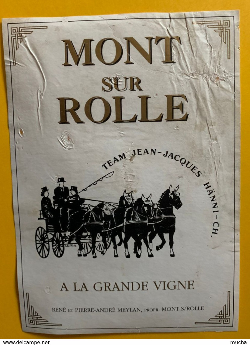 16710 -  Suisse Team Jean-Jacques Hänni Attelage Mont Sur Rolle A La Grande Vigne - Pferde
