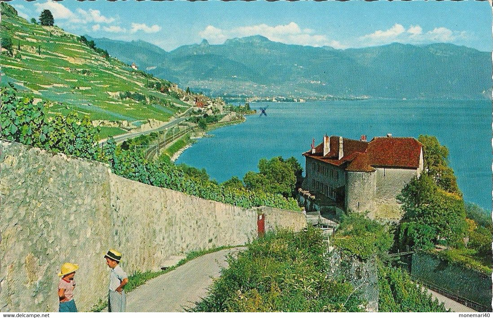 LE LAVAUX (LAC LÉMAN) LE CHÂTEAU DE GLÉROLLE Près RIVAZ. - Rivaz