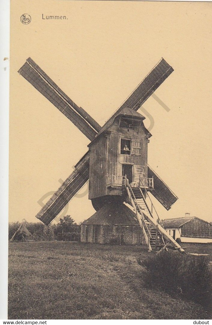 Postkaart-Carte Postale - LUMMEN - Windmolen  (B950) - Lummen