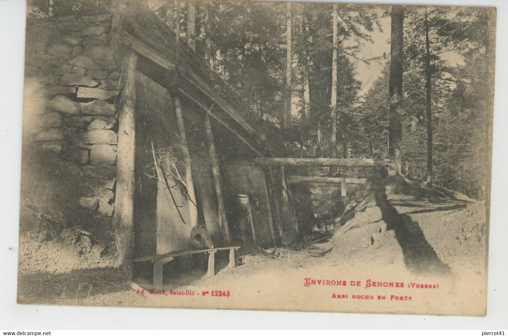 GUERRE 1914-18 - VOSGES - SENONES - Abri Boche En Forêt - Senones