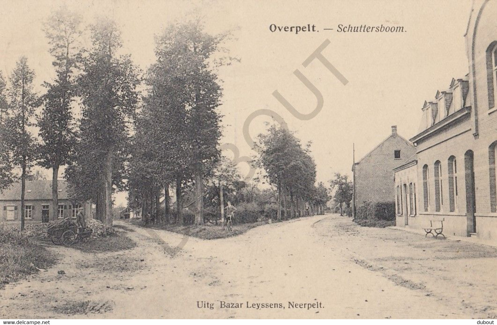 Postkaart-Carte Postale - OVERPELT - Schuttersboom   (C20) - Overpelt