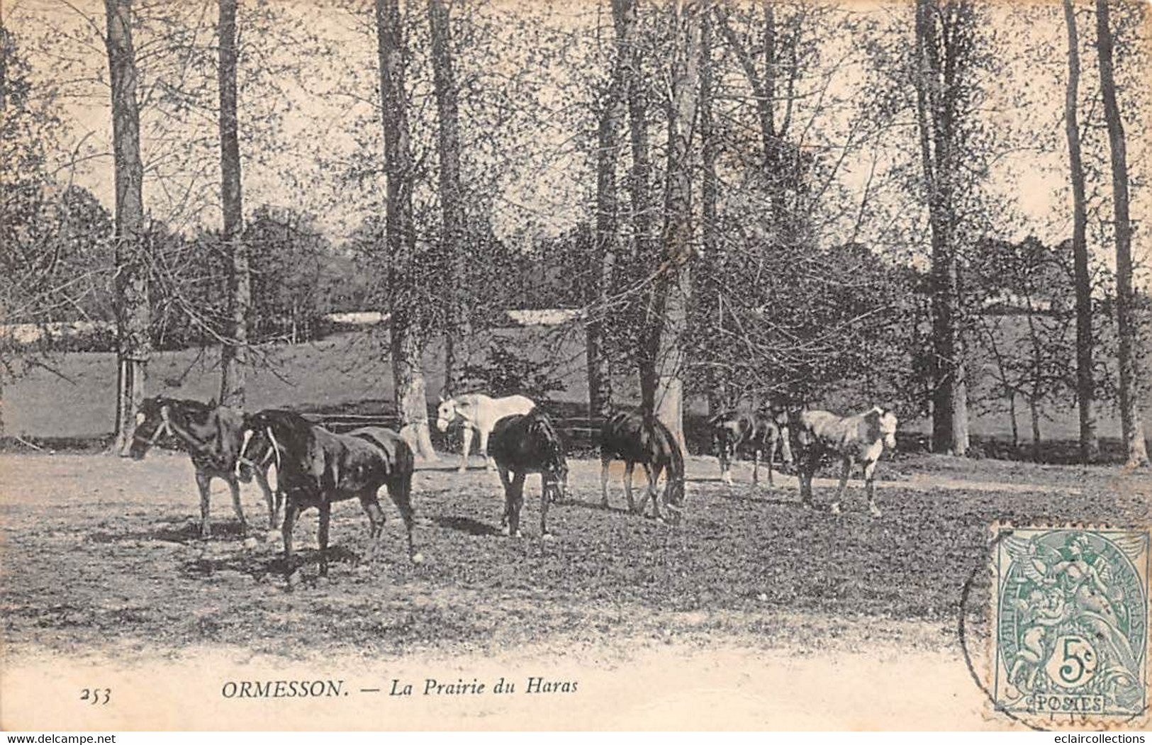 Ormesson        60       La Prairie Du Haras   - Chevaux -    (voir Scan) - Andere & Zonder Classificatie