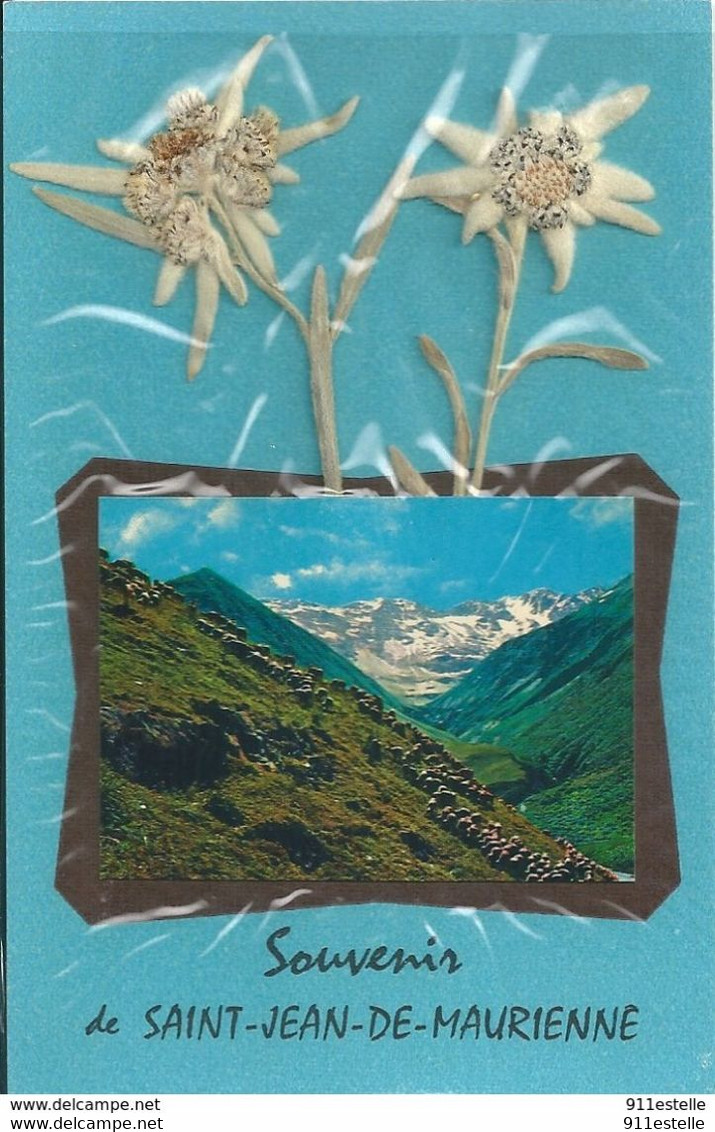 73   SAINT JEAN DE MAURIENNE , Souvenir  Fleurs   Edelweiss - Colecciones Y Lotes