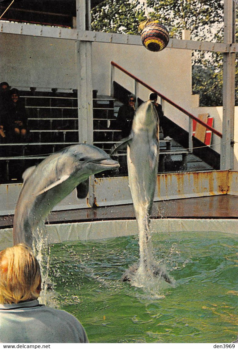 Les Célèbres DAUPHINS De Jean Richard Et Du Capitaine Richard Decker - Editions Monachrome, Beausoleil - Dolphins