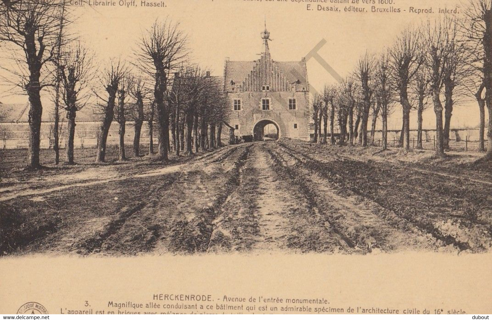 Postkaart-Carte Postale - HERKENRODE - Kuringen - Avenue De L'entrée Monumentale (C21) - Hasselt