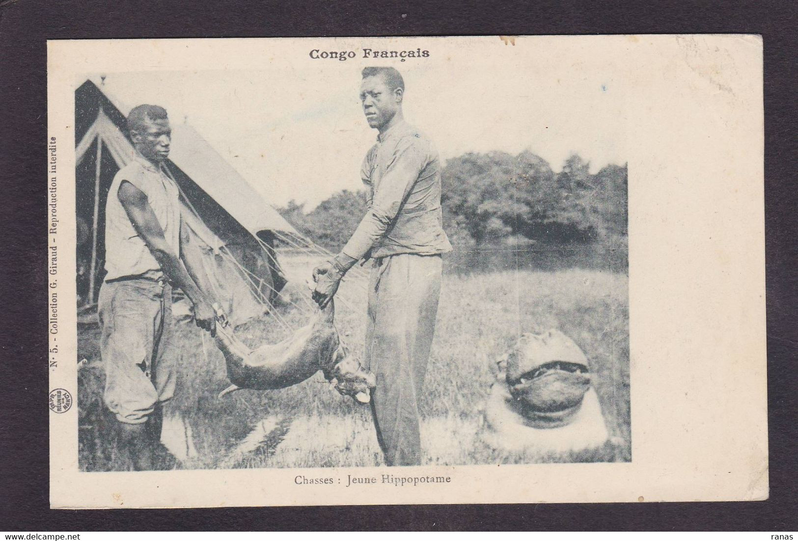 CPA Congo Chasse Hunt Hippopotame Non Circulé - Congo Francés