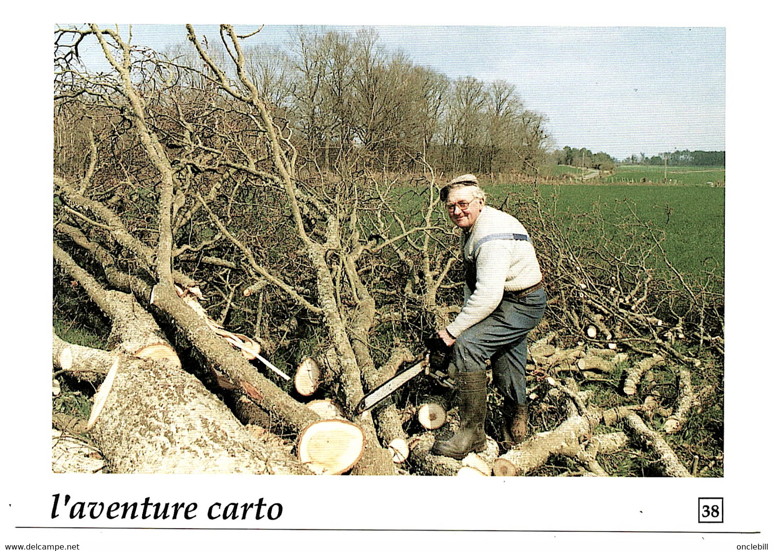 Guemene Penfao Loire Atlantique Bucheron 1991 Aventure Carto  état Superbe - Guémené-Penfao