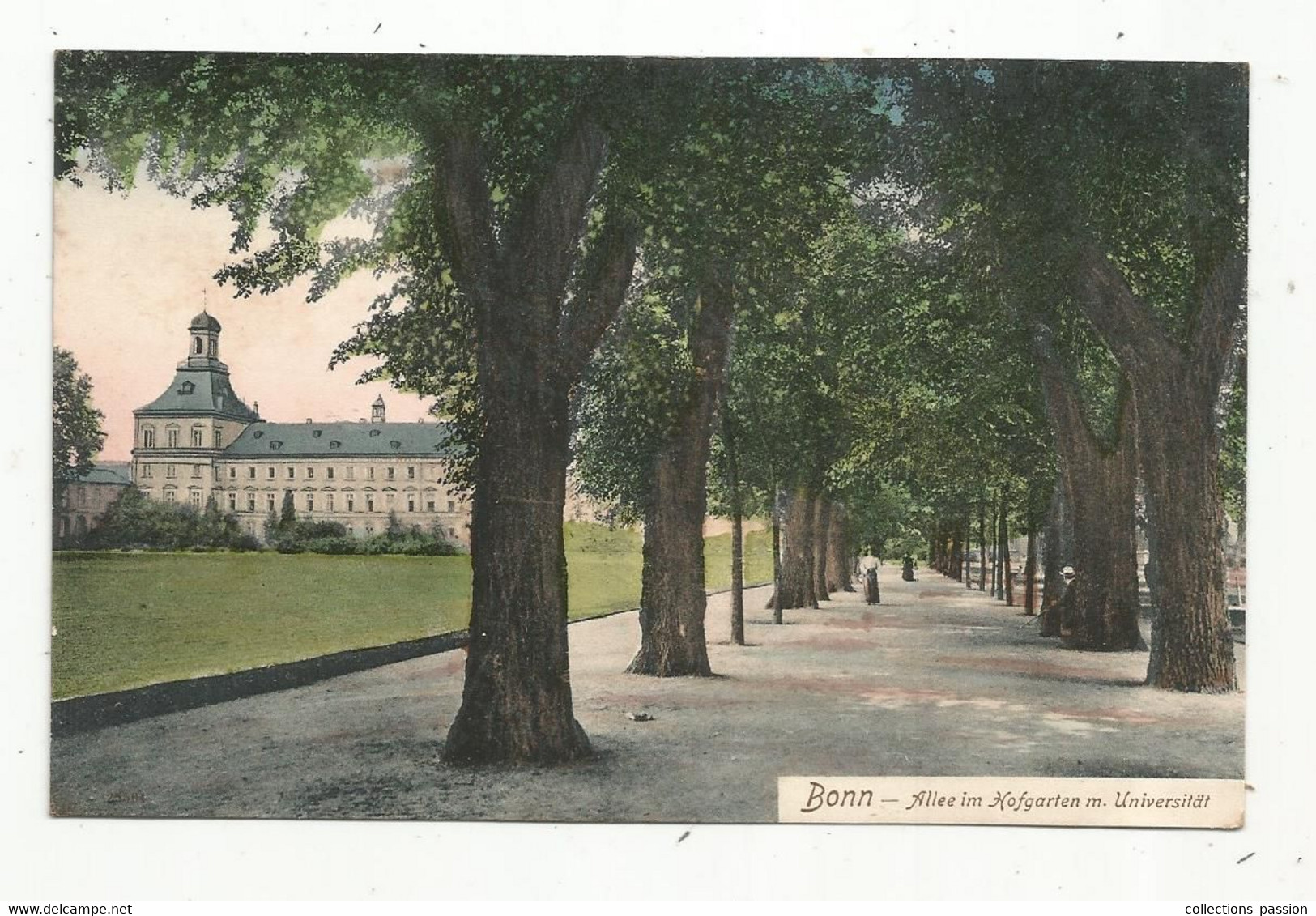 Cp , Allemagne , BONN , Allee Im Hofgarten M. Universität ,  Vierge - Bonn