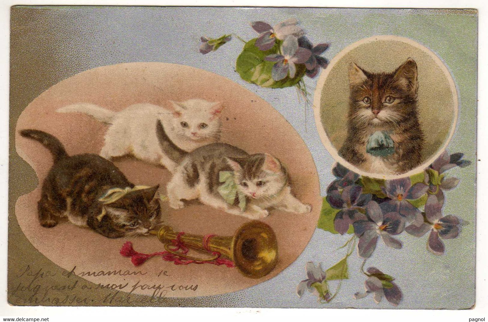 Animaux : Chats - Trompette - Katten