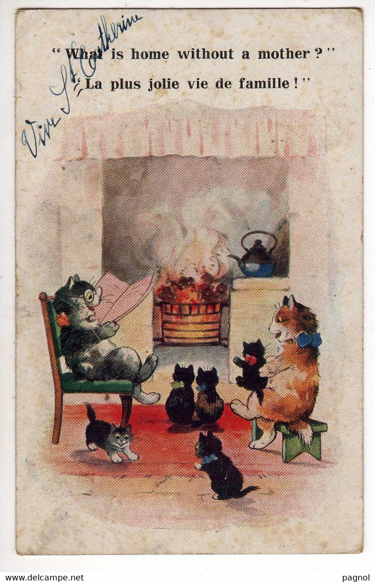 Animaux : Chats En Famille Au Coin Du Feu - Katten