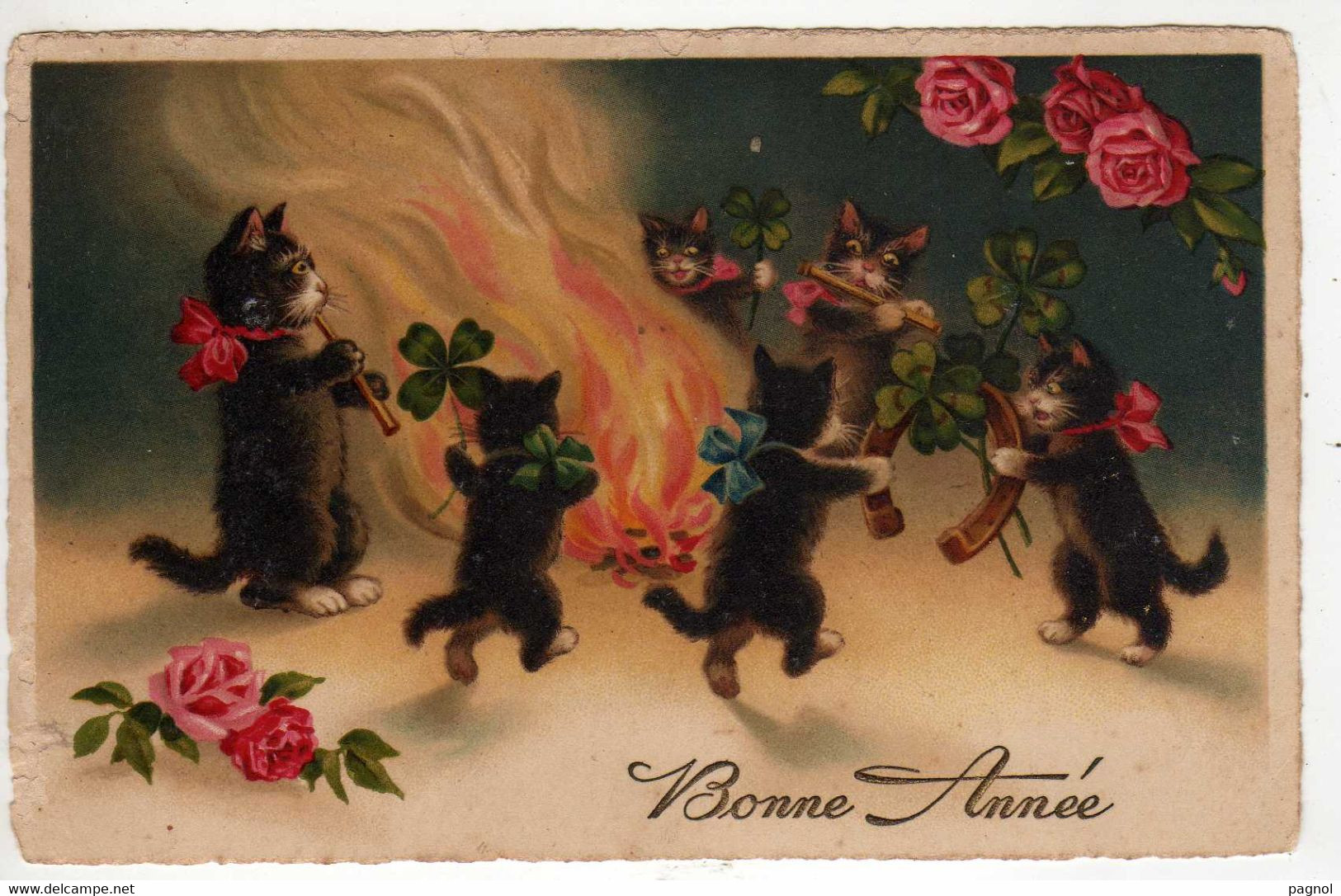 Animaux : Chats  Feu De Joie - Chats