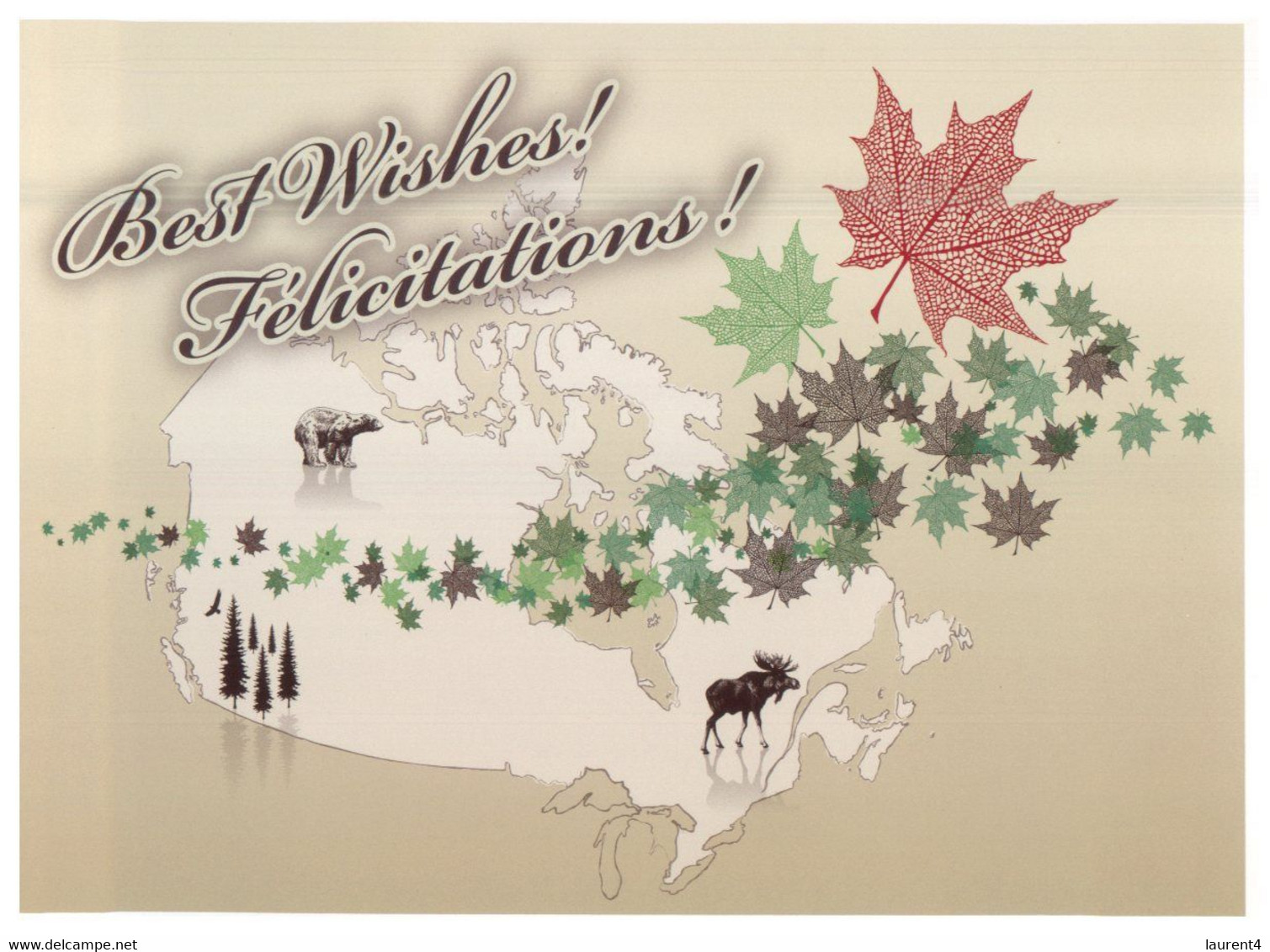 (V 17) Canada - Royal Wedding - presentation keepsake kit (with postcard and mint stamps)