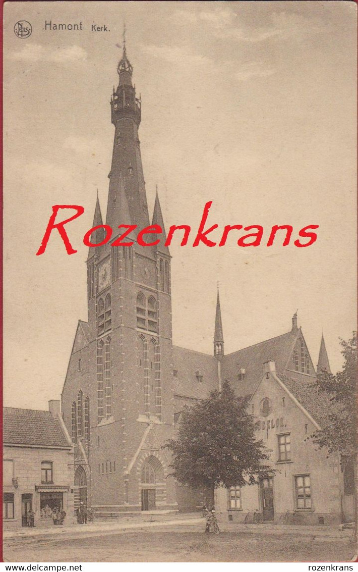 Hamont Achel Kerk Met Boom Zeldzaam Geanimeerd (In Zeer Goede Staat) - Hamont-Achel