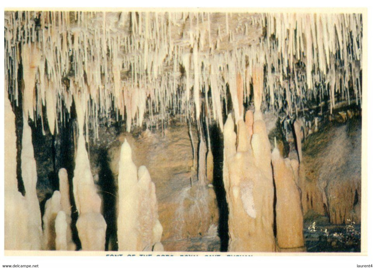 (V 20) Australia - VIC - Older Card - Bucan Royal Caves - Autres & Non Classés