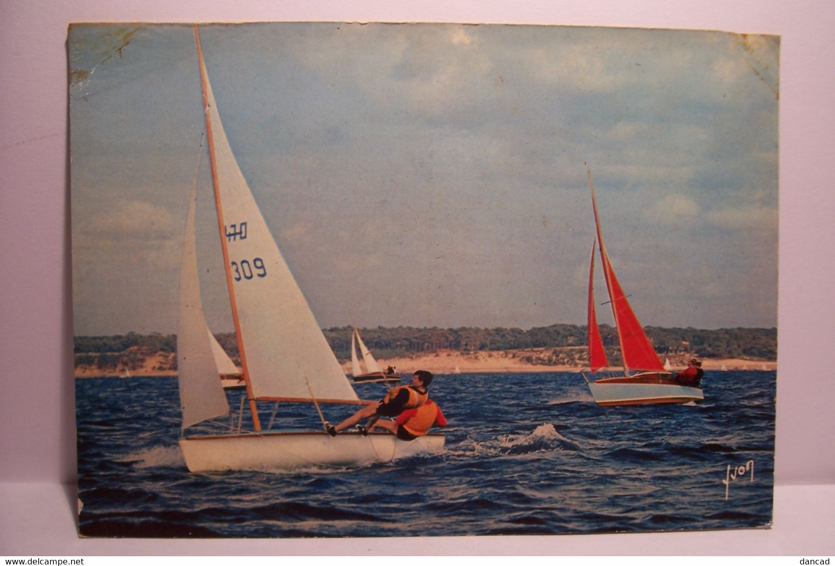 BATEAU  - REGATES  -  Bateaux En Régates -  ( Pas De Reflet Sur L'original ) - Voile