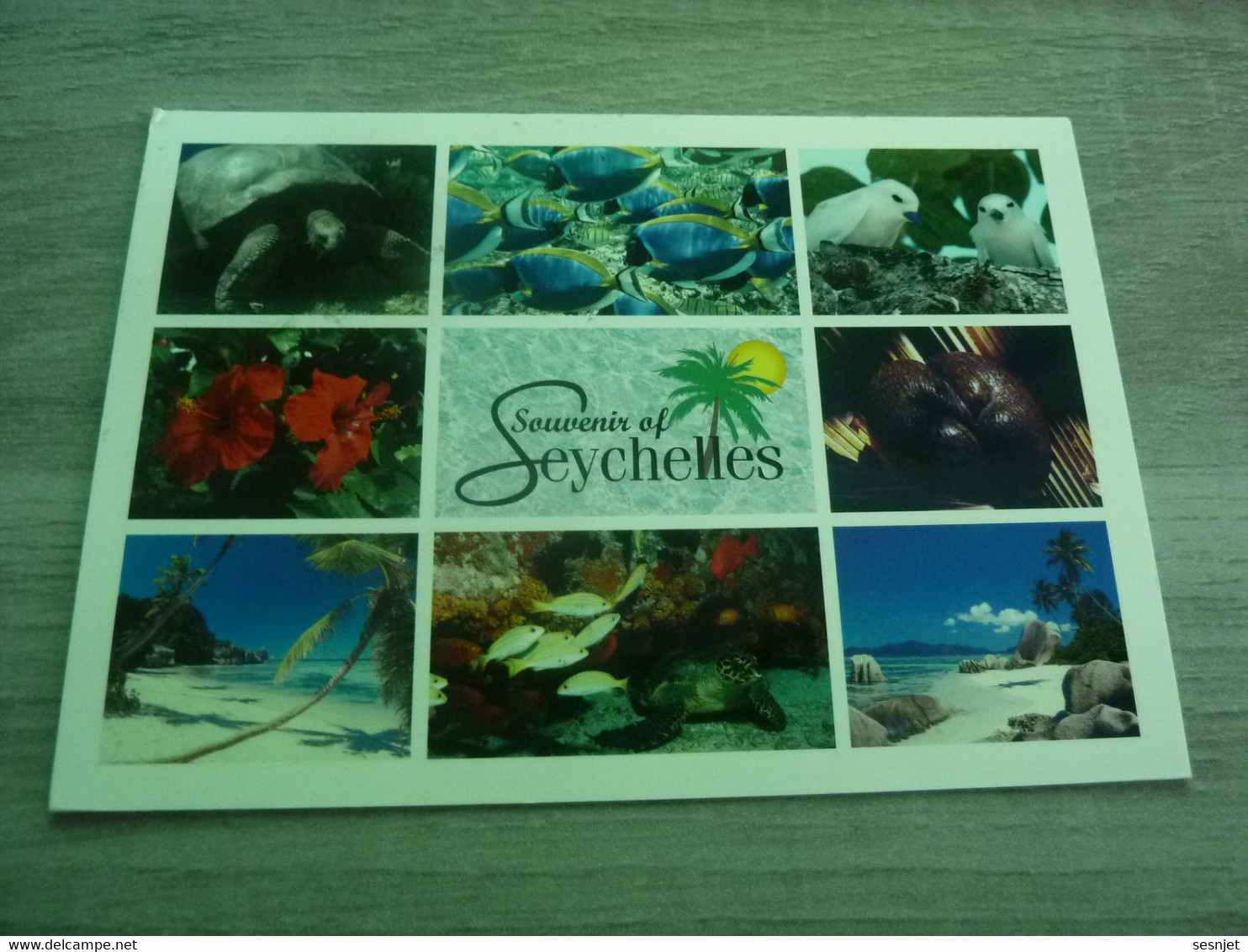 Souvenir Of Seychelles - Multi-vues - Editions Julien Palmyre - Année 2015 - - Seychellen