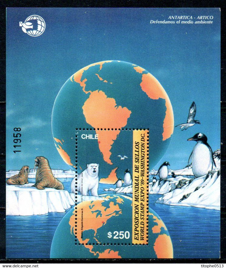 CHILI. BF 34 De 1989. Protection De La Nature Des Pôles/Ours Polaire. - Schützen Wir Die Polarregionen Und Gletscher