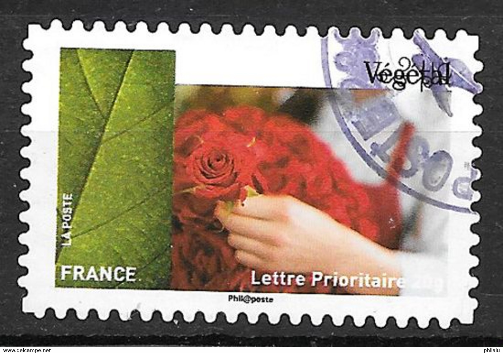 FRANCE  1080 Artisanat Le Végétal Roses . - Sonstige & Ohne Zuordnung