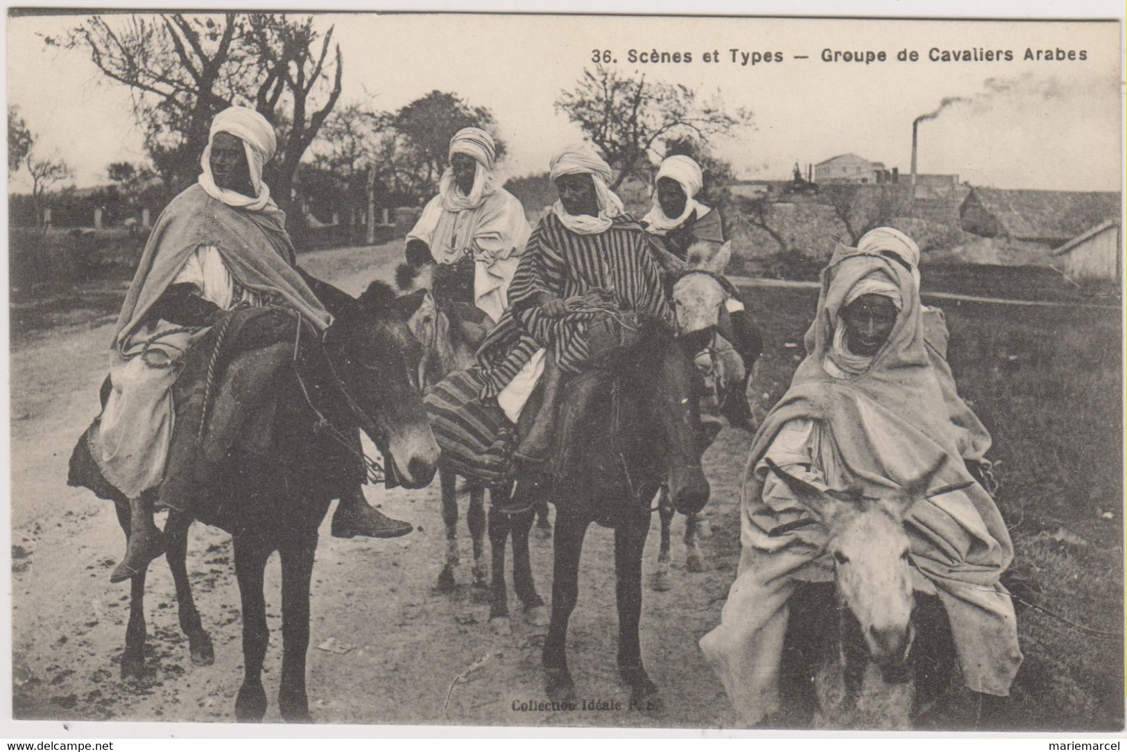 ALGERIE - SCENES ET TYPES - GROUPE DE CAVALIERS ARABES - Plusieurs Hommes Sur Des ânes - Plaatsen