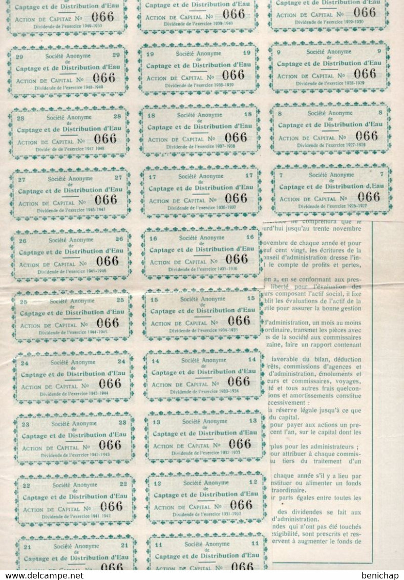 Action De Capital Au Porteur - S.A. Captage Et De Distribution D'Eau - Bruxelles 1920 - Eau