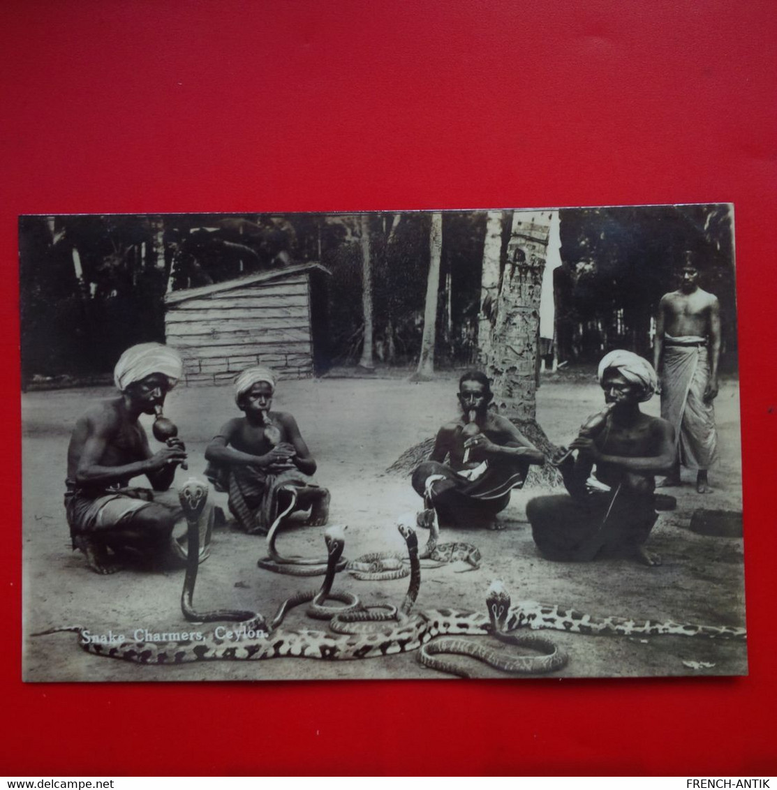 SNAKE CHARMERS CEYLON - Sri Lanka (Ceylon)